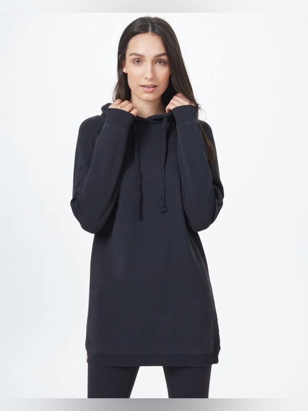 Tentree Oversized French Terry Hoodie Dress